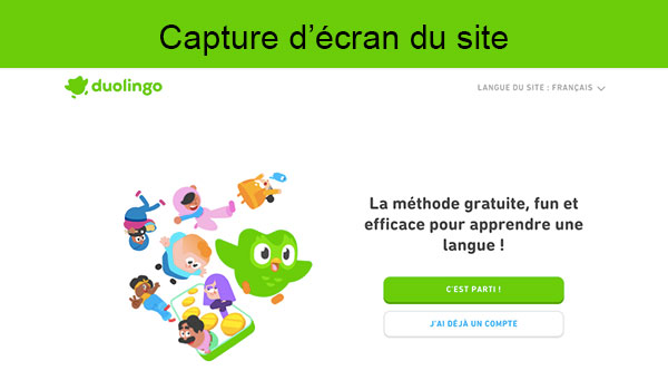 Site internet Duolingo